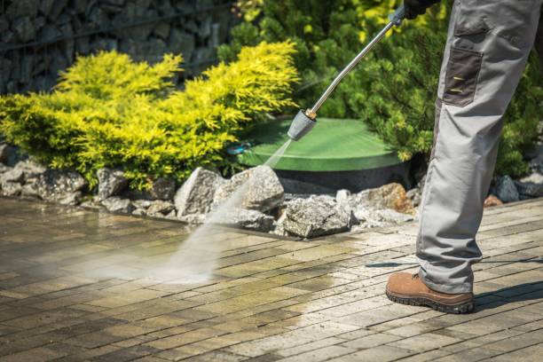 Best Pool Deck Cleaning  in Cuero, TX